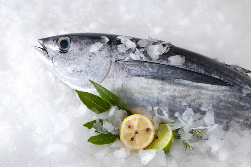 How to keep fish fresh How to keep fish fresh