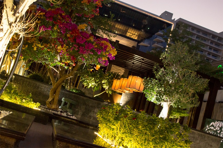 Kyo's Japanese Flavours surrounded by Lush Greenery, Bonsai Trees, and Japanese Sculptures and Murals. Kyo's Japanese Flavours surrounded by Lush Greenery, Bonsai Trees, and Japanese Sculptures and Murals.